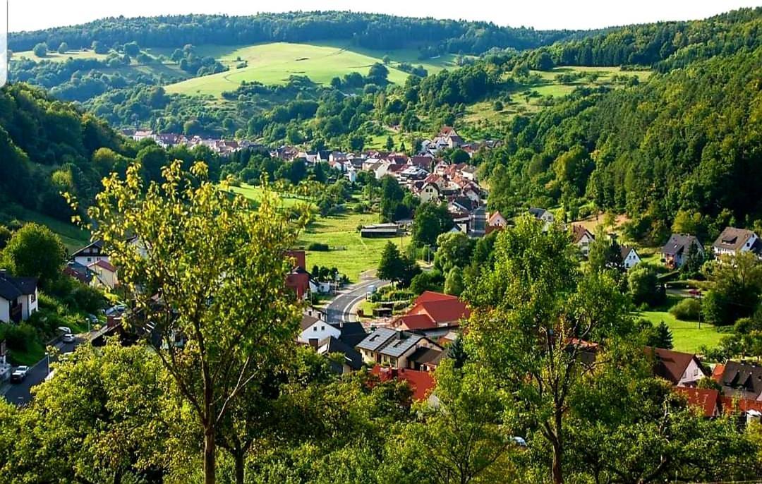 Geishöhe Dammbach Exteriör bild